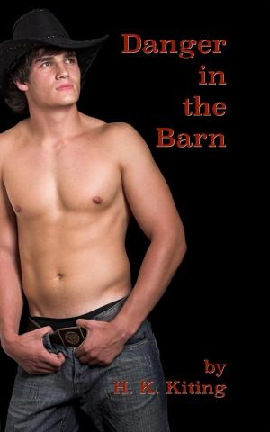 Cover of the book Danger in the Barn by Hayden Carey Humpier