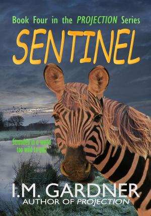 Cover of the book Sentinel by Joshua Vernson
