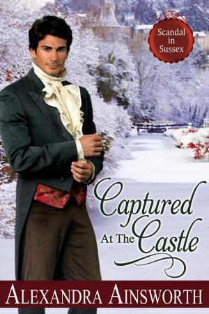 Book cover of Captured at the Castle