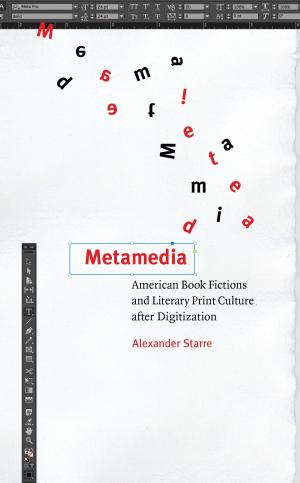 Book cover of Metamedia