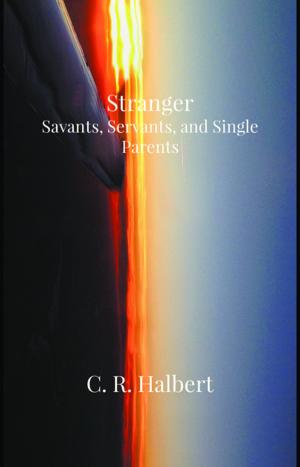 Book cover of Stranger