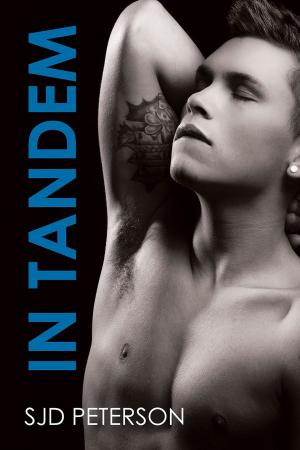 Cover of the book In tandem by Andrew Grey
