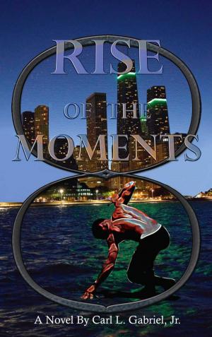 Book cover of RISE OF THE MOMENTS