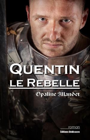 Cover of the book Quentin-le-Rebelle by Carlos Rubio