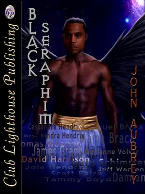 Cover of the book Black Seraphim by Cara Mitchell