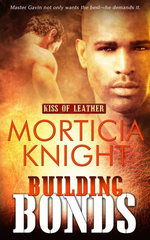 Cover of the book Building Bonds by Delilah Night
