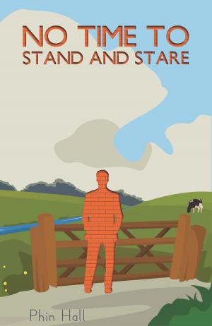 Cover of No Time To Stand And Stare