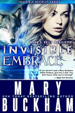 Cover of Invisible Embrace Book 3: Kelly McAllister