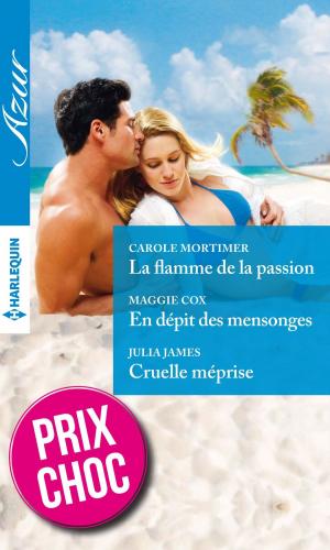 Cover of the book La flamme de la passion - En dépit des mensonges - Cruelle méprise by Renee Andrews
