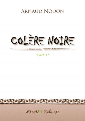 Cover of the book Colère Noire by 鴻鴻