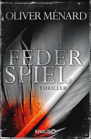 Cover of the book Federspiel by Petra Mattfeldt