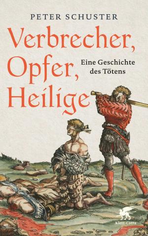 Cover of the book Verbrecher, Opfer, Heilige by Manfred Spitzer