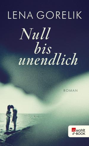 Cover of the book Null bis unendlich by Wolf Schneider