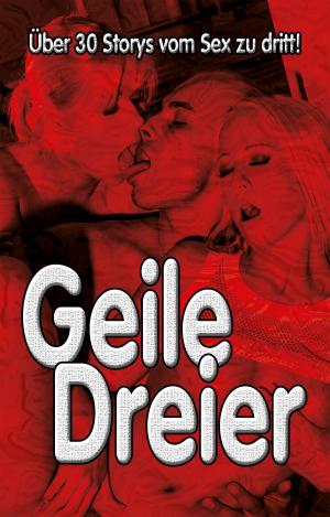 Cover of the book Geile Dreier! by Andreas J, Vanessa Valentin, Valerie Morell, Manfred M, Frank C, Frank Schreiber, Lisa Cohen, Paul Hansen, Gábor Horváth