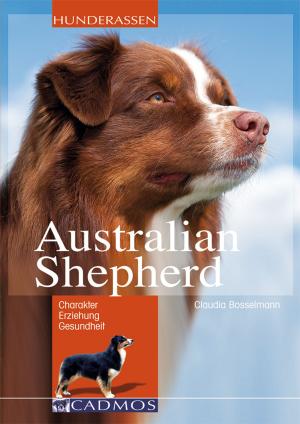 Cover of the book Australian Shepherd by Desmond O'Brien
