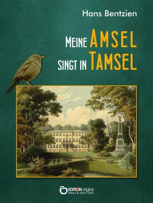 Cover of the book Meine Amsel singt in Tamsel by Jürgen Borchert