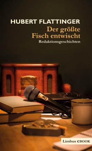 Cover of the book Der größte Fisch entwischt by Kevin Doyle