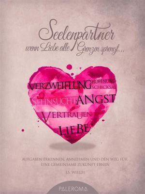 Cover of the book Seelenpartner - wenn Liebe alle Grenzen sprengt by John Pattson