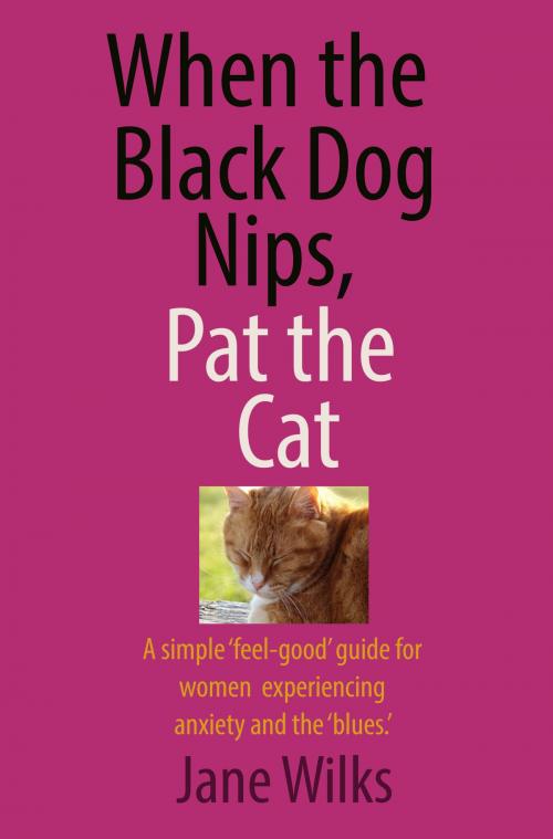 Cover of the book When the Black Dog Nips, Pat the Cat by Jane Wilks, Jane Wilks