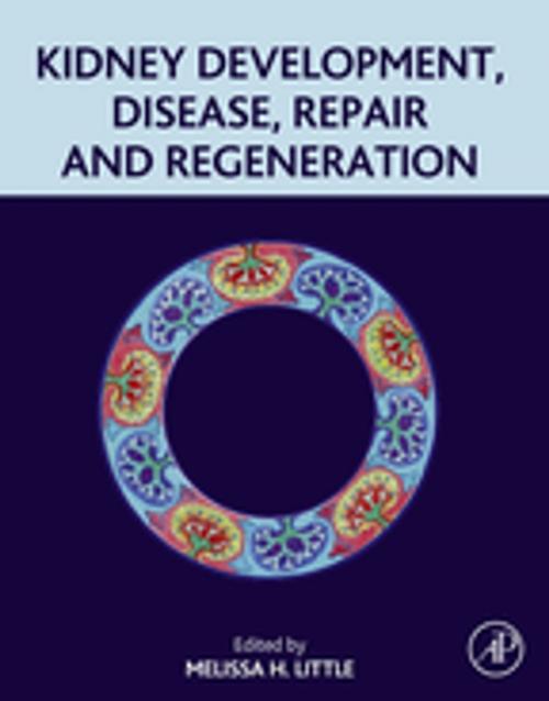 Cover of the book Kidney Development, Disease, Repair and Regeneration by , Elsevier Science