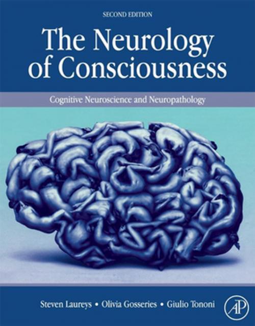 Cover of the book The Neurology of Consciousness by , Elsevier Science