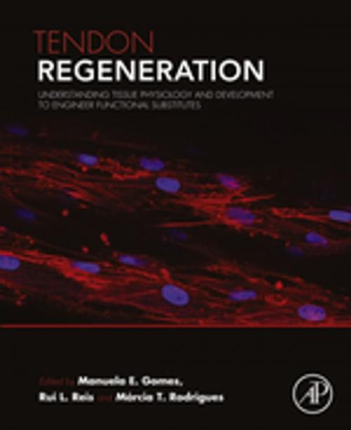 Cover of the book Tendon Regeneration by , Elsevier Science