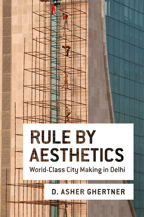 Cover of the book Rule By Aesthetics by D. Asher Ghertner, Oxford University Press