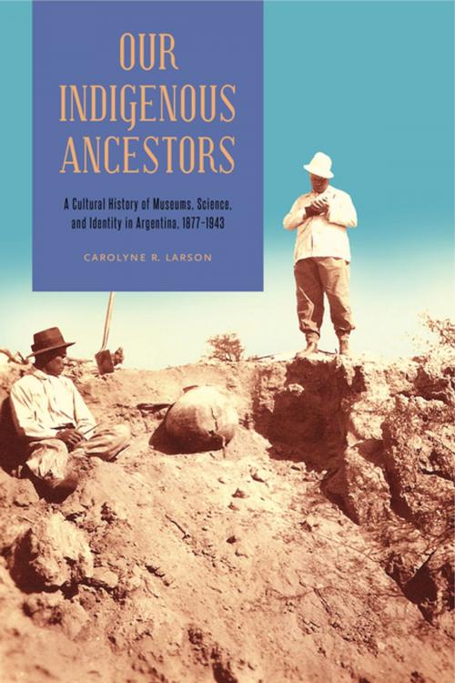 Cover of the book Our Indigenous Ancestors by Carolyne R. Larson, Penn State University Press