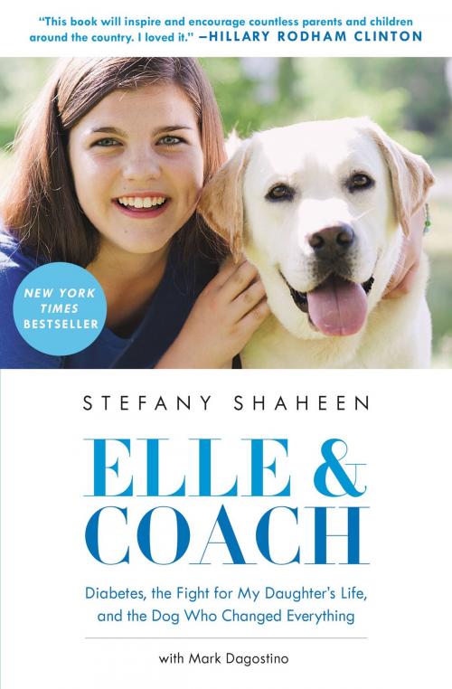 Cover of the book Elle & Coach by Stefany Shaheen, Hachette Books