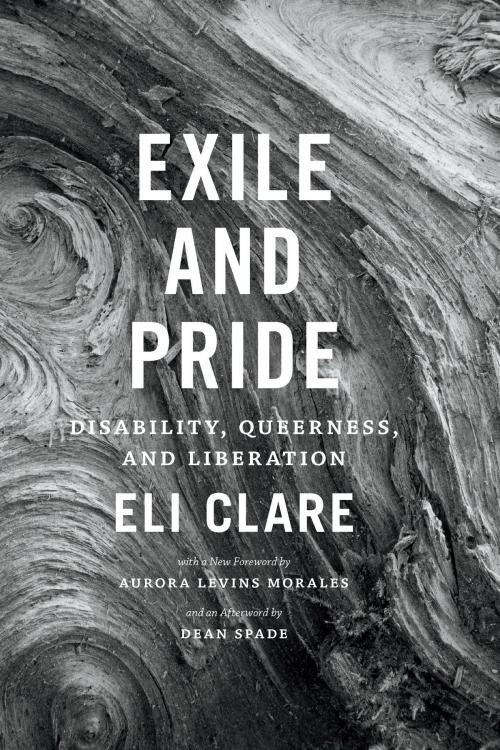 Cover of the book Exile and Pride by Eli Clare, Dean Spade, Duke University Press