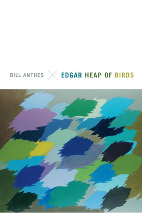 Cover of the book Edgar Heap of Birds by Bill Anthes, Duke University Press