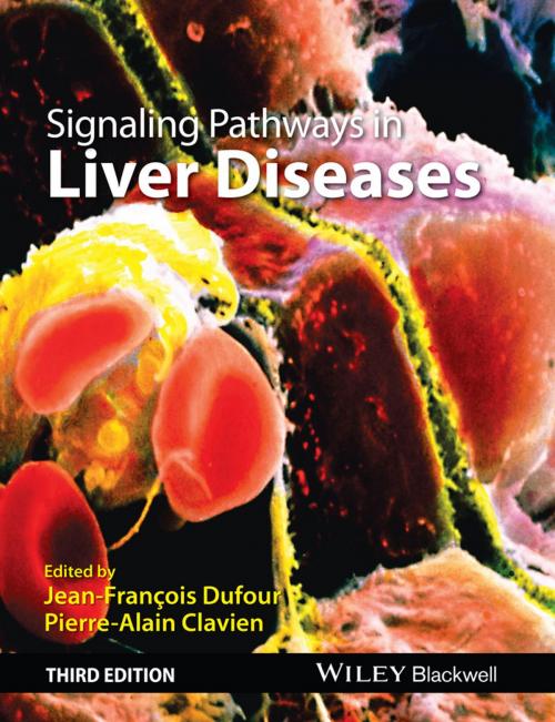 Cover of the book Signaling Pathways in Liver Diseases by , Wiley