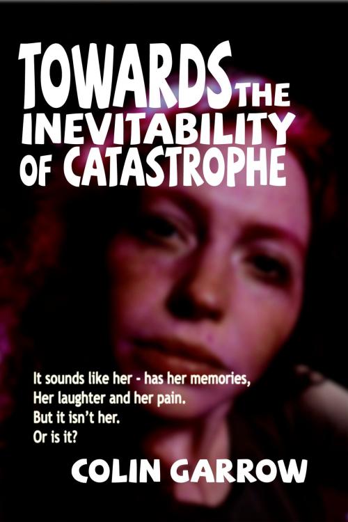 Cover of the book Towards the Inevitability of Catastrophe by Colin Garrow, Colin Garrow