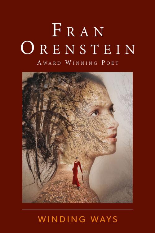 Cover of the book Winding Ways by Fran Orenstein, Aquitaine Ltd