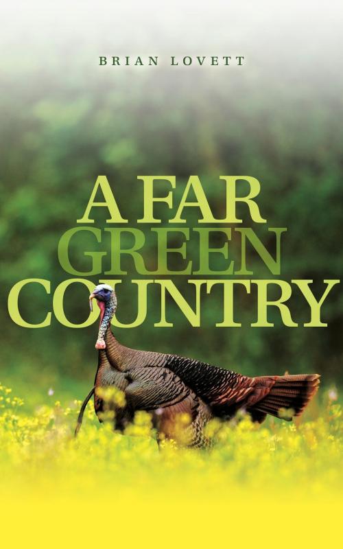 Cover of the book A Far Green Country by Brian Lovett, Brian Lovett