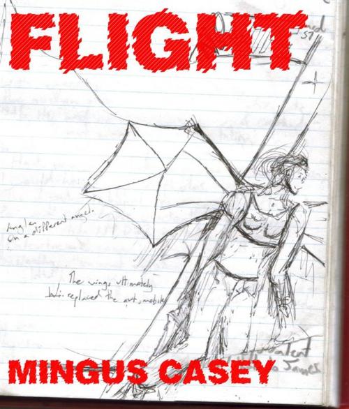 Cover of the book Flight by Mingus Casey, Mingus Casey