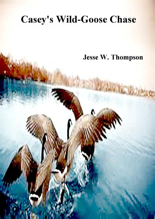 Cover of the book Casey's Wild Goose Chase by Jesse W. Thompson, Jesse W. Thompson