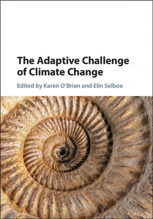 Cover of the book The Adaptive Challenge of Climate Change by , Cambridge University Press