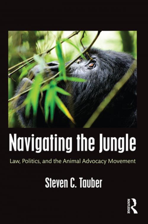 Cover of the book Navigating the Jungle by Steven C. Tauber, Taylor and Francis