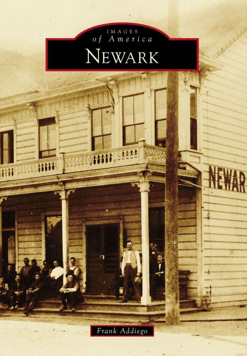 Cover of the book Newark by Frank Addiego, Arcadia Publishing Inc.