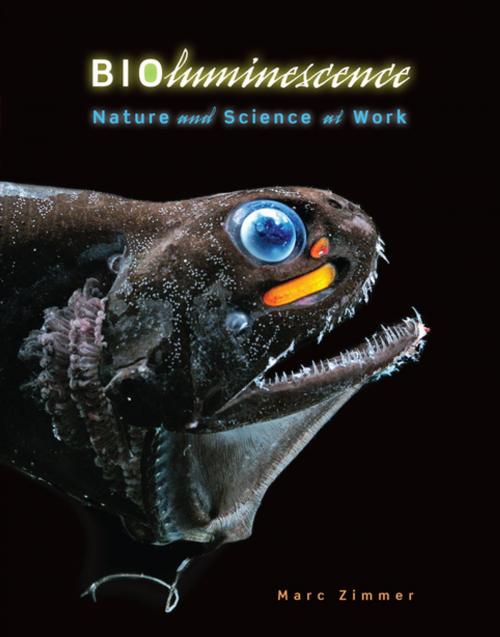 Cover of the book Bioluminescence by Marc Zimmer, Lerner Publishing Group