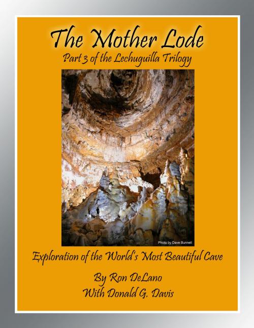 Cover of the book The Mother Lode by Ron Delano, BookBaby