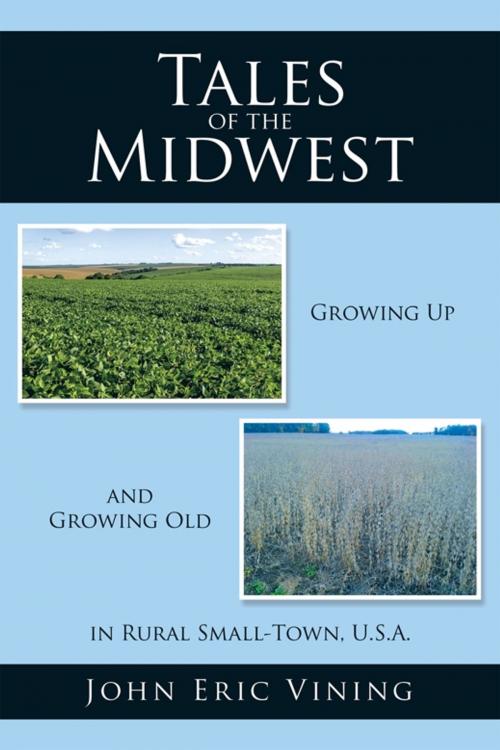 Cover of the book Tales of the Midwest by John Eric Vining, Trafford Publishing