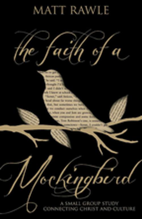 Cover of the book The Faith of a Mockingbird by Matt Rawle, Abingdon Press