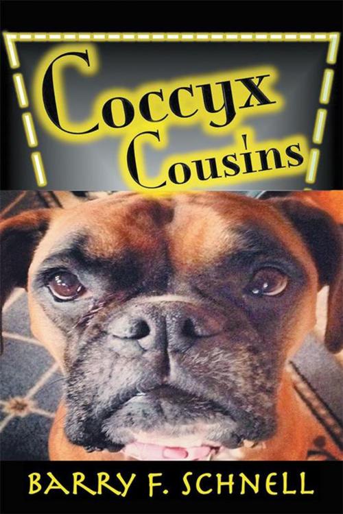 Cover of the book Coccyx Cousins by Barry F. Schnell, Xlibris US