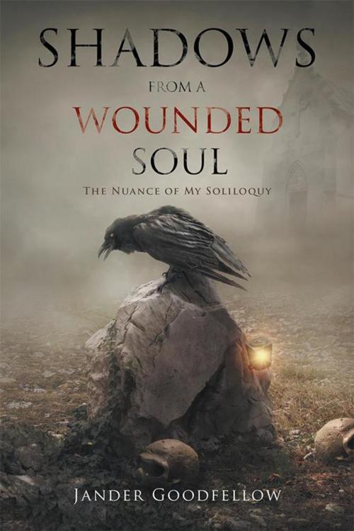 Cover of the book Shadows from a Wounded Soul by Jander Goodfellow, AuthorHouse