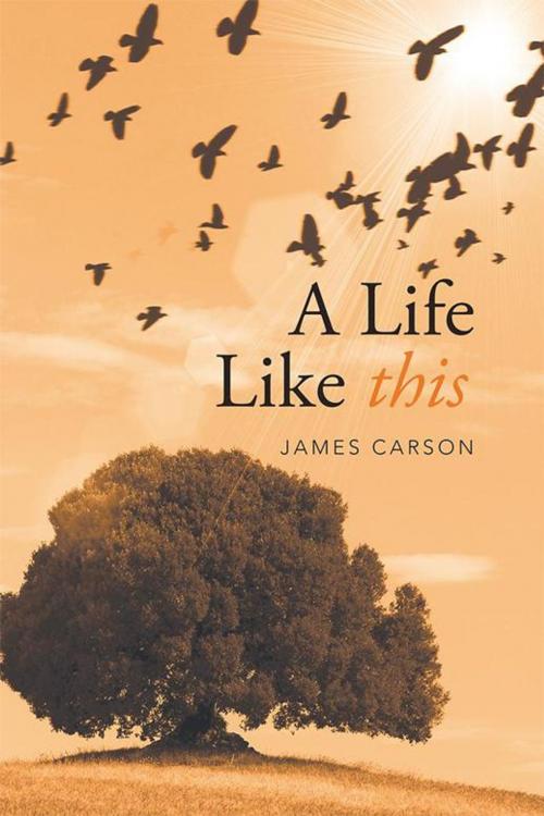 Cover of the book A Life Like This by James Carson, Xlibris UK