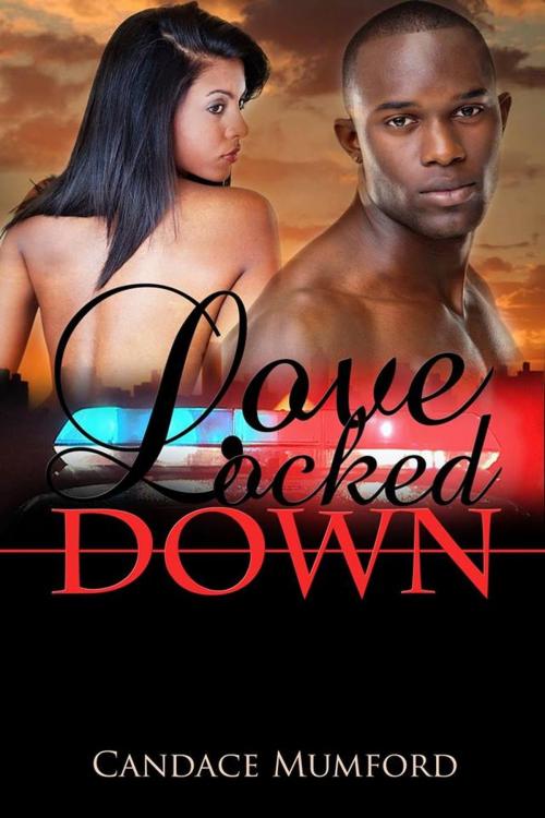 Cover of the book Love Locked Down by Candace Mumford, A.N.C. Media Publishing