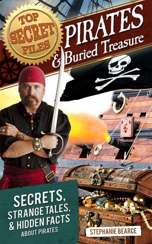 Cover of the book Top Secret Files: Pirates and Buried Treasure by Stephanie Bearce, Sourcebooks