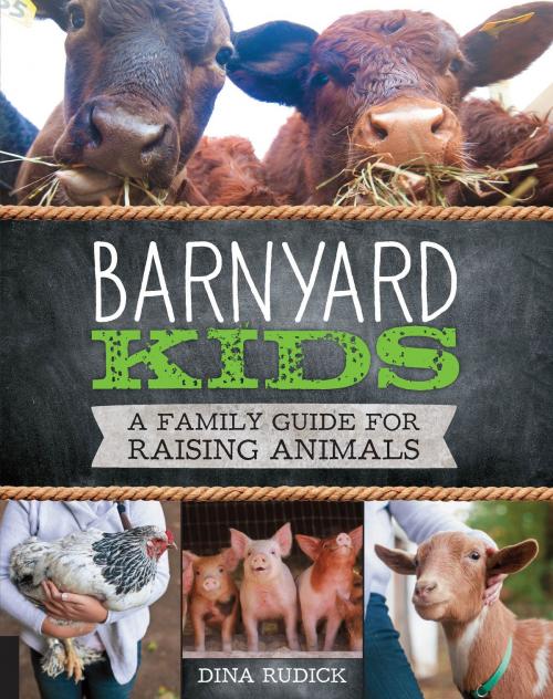 Cover of the book Barnyard Kids by Dina Rudick, Quarry Books